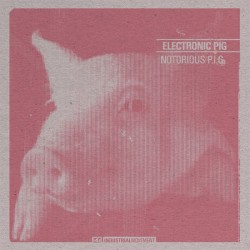 Electronic pig