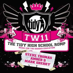 Steve Thomas Live At The Tidy Weekender 11