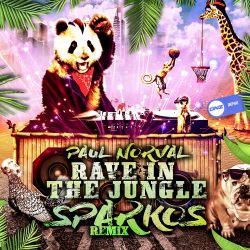 Rave In The Jungle