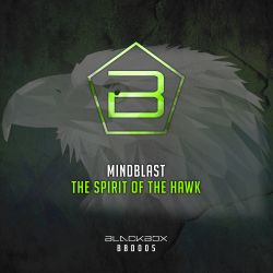 The Spirit Of The Hawk