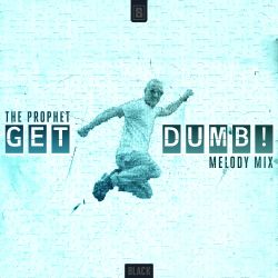 Get Dumb! (Melody Mix)