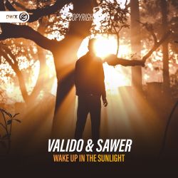Wake Up In The Sunlight