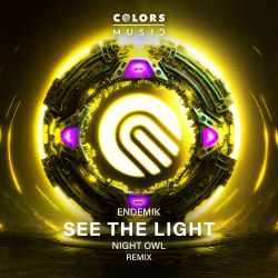 See The Light (Night Owl Remix)